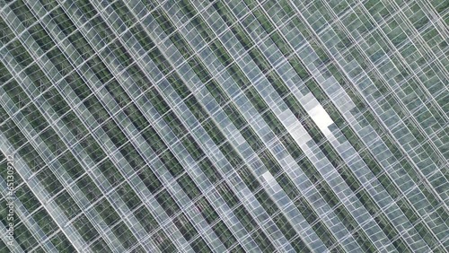 Aerial view of giant greenhouses, plantation of vegetables