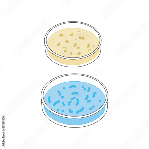 Set of 2 petri dish colorful icons with bacteria growth, simple vector illustration design. Medical carttoon symbol to use in websites, lectures, presentations, etc