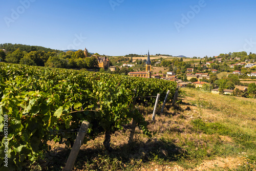Village de Jarnioux avec son château et son église depuis les vignobles du Beaujolais photo