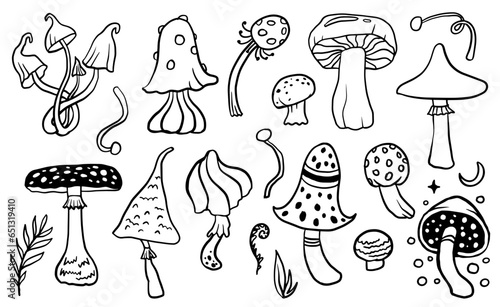 Mushroom line set. Vector cute magic mushroom illustration isolated on white background for book, market, restaurant menu, package design.