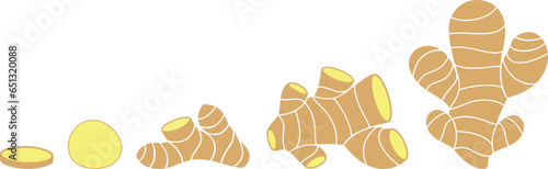 Ginger logo. Isolated ginger on white background