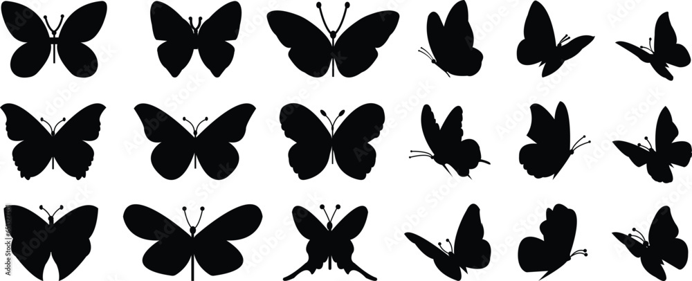 Flying butterflies silhouette black set isolated on white background - obrazy, fototapety, plakaty 