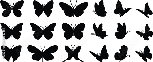 Flying butterflies silhouette black set isolated on white background photo