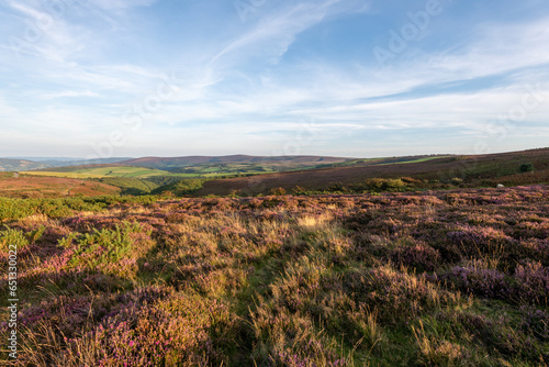 Landscape photo of Porlock Common at the top of Porlock Hill in Exmoor National Park