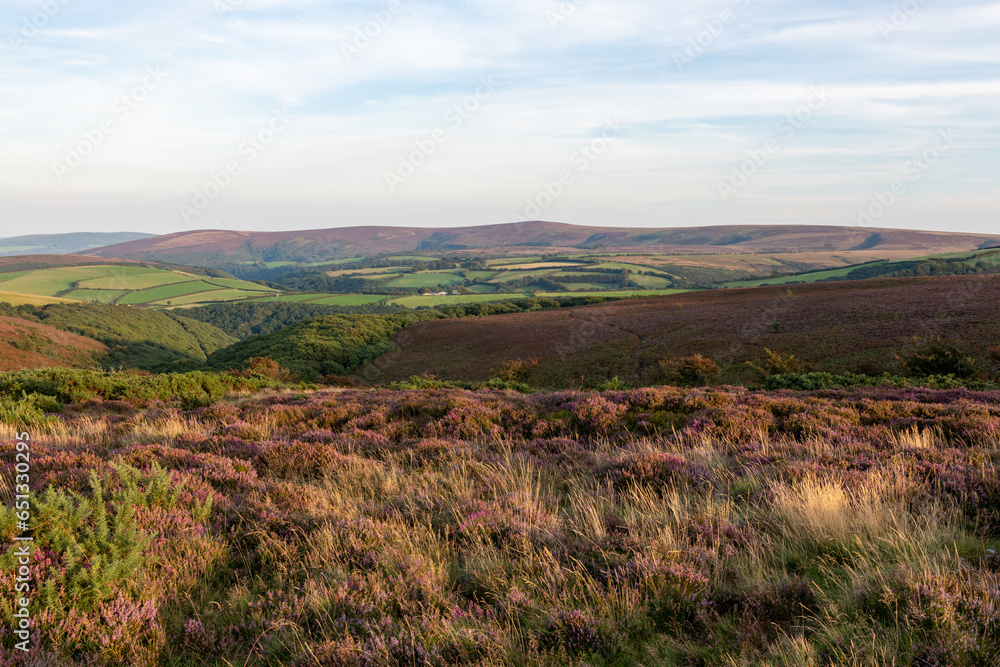 Fototapeta premium Landscape photo of Porlock Common at the top of Porlock Hill in Exmoor National Park