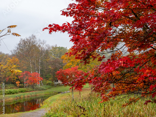 雨の福原山荘（北海道河東郡鹿追町北瓜幕） photo