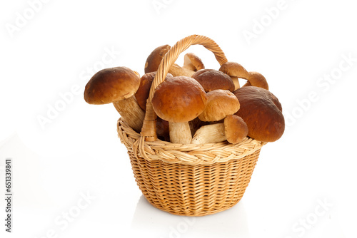 Basket fool of Boletus mushrooms isolated on white background. Vegetarian healthy food. Healthy food background.