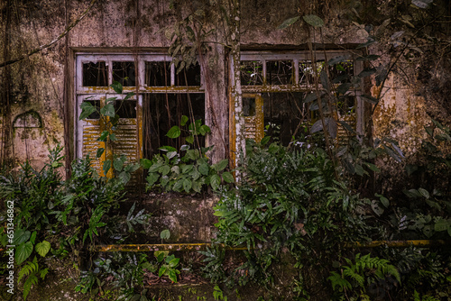 Old abandoned fishing village, houses taken over by plants and jungle. Dois Rios beach on Ilha Grande, Angra dos Reis, Rio de Janeiro, Brazil photo