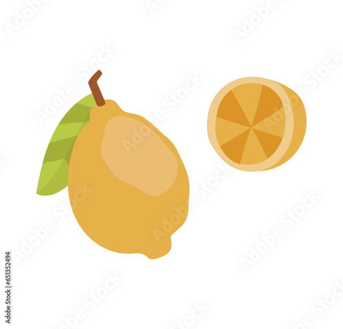 Lemon fruit slice vector illustration fruit editable sketch