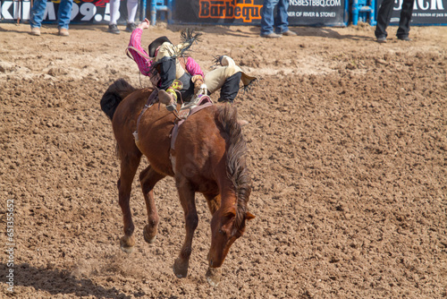 Rodeo Bucking Bronco