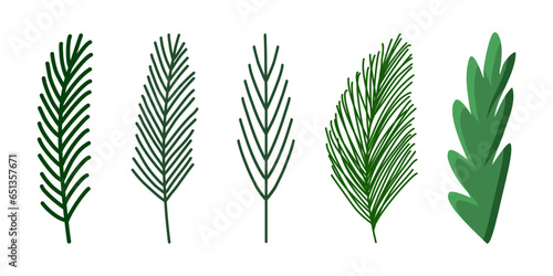 Set of simple pine or fir branches, winter holidays design element, vector