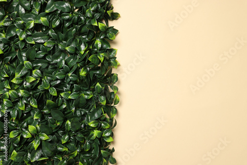 Green artificial plants on beige background  top view. Space for text