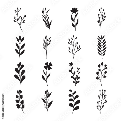 Set of leaf silhouette hand drawn vector 