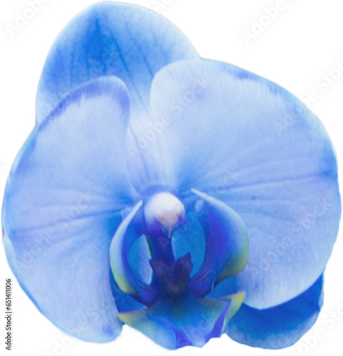 Digital png illustration of blue orchid flower on transparent background