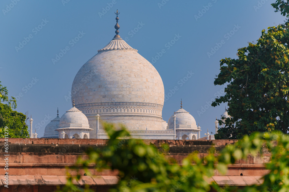 Garlic dome architecture of the Taj Mahal temple, Agra, Uttar Pradesh, India is built of white marble Garlic dome architecture of the Taj Mahal temple, Agra, Uttar Pradesh, India is built of white marble