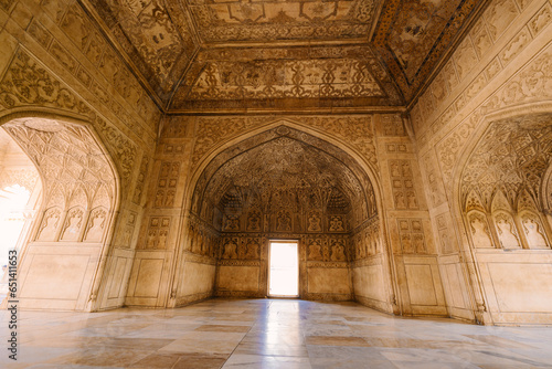 Pattern on the architectural wall of Agra Fort, India 