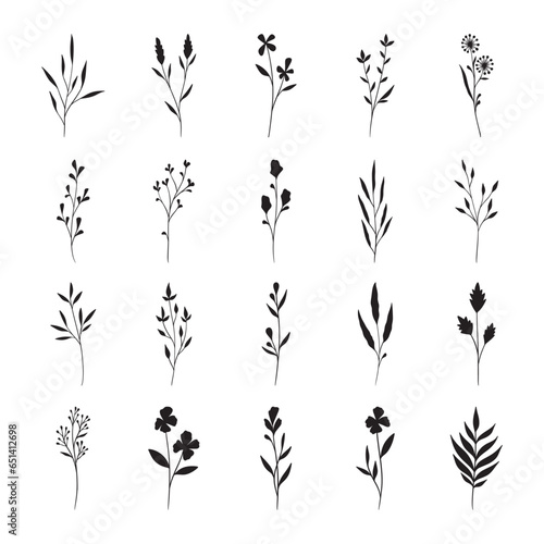 Set of leaf silhouette hand drawn vector 