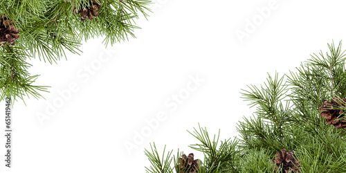 Canvas-taulu Christmas background with fir branches and cones on white