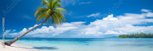 Beautiful natural tropical landscape, beach with white sand and Palm tree leaned over calm wave. Turquoise ocean on background blue sky with clouds on sunny summer day, island Maldives