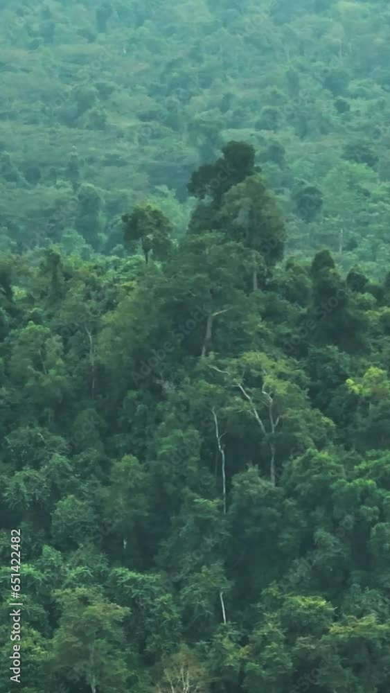 Aerial view of mountain jungle and tropical forest in Borneo. Sabah,Malaysia Aerial view of mountain jungle and tropical forest in Borneo. Sabah,Malaysia