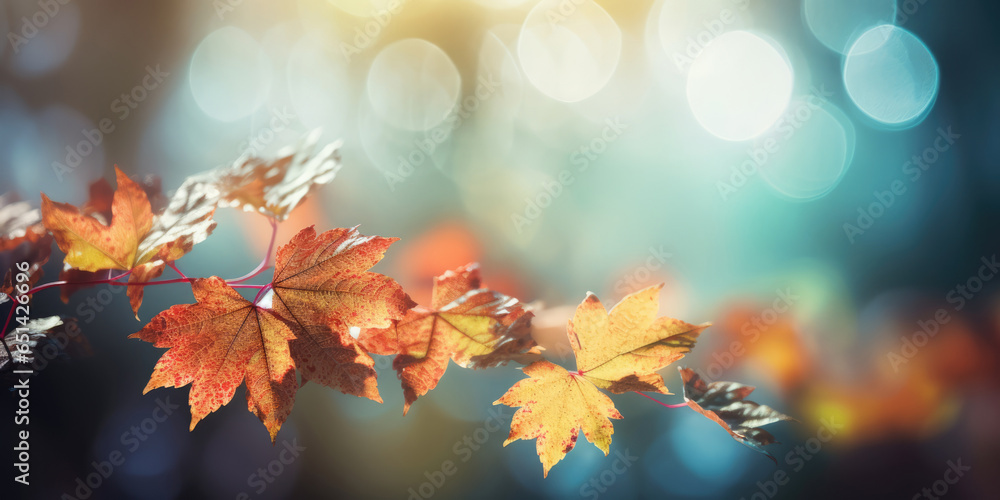 Autumn Leaves Background. Autumn Leaves in the sunlight Autumn Leaves Background. Autumn Leaves in the sunlight