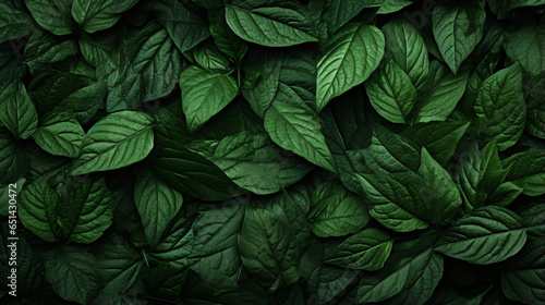 Green textured leaves