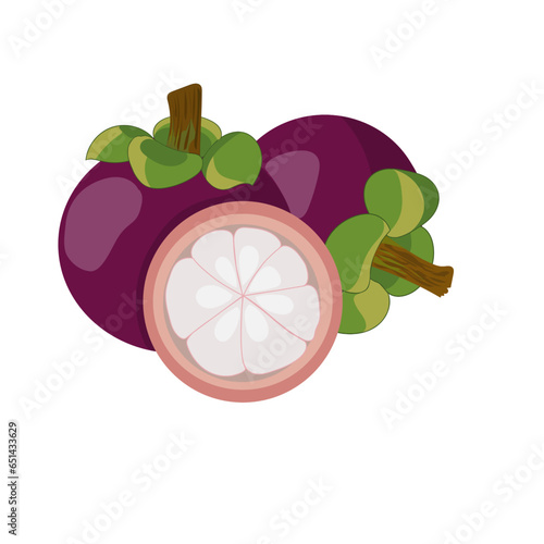 Whole and halved mangosteen set on white background ,vector illustrator.