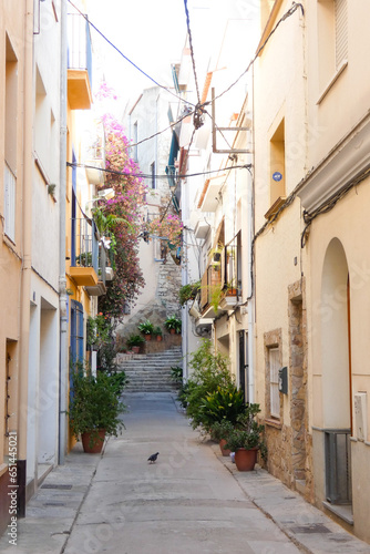 Narrow streets in the old quarter of the Mediterranean town of Blanes in the province of Barcelona  Catalonia  Spain.