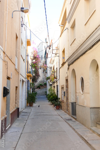 Narrow streets in the old quarter of the Mediterranean town of Blanes in the province of Barcelona  Catalonia  Spain.