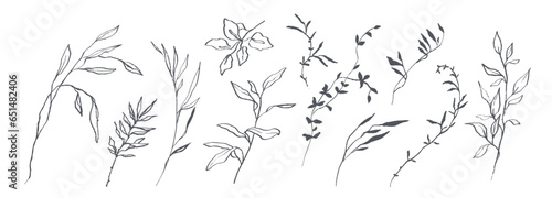 Set of hand drawn botanical flowers, branches and leaves. Trendy sketch elements of wild and garden plants in line art style. Vector illustration on white background