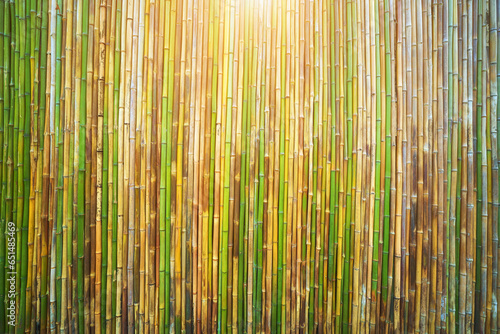 Fototapeta Naklejka Na Ścianę i Meble -  Bamboo nature wall