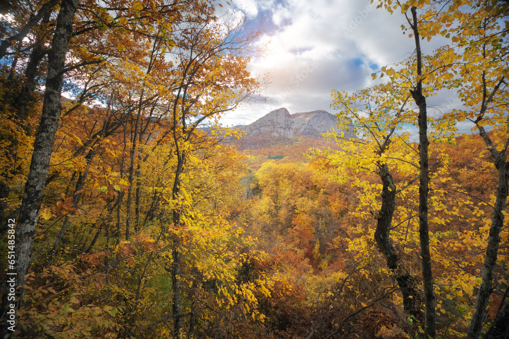 Autumn forest deep in mountain.