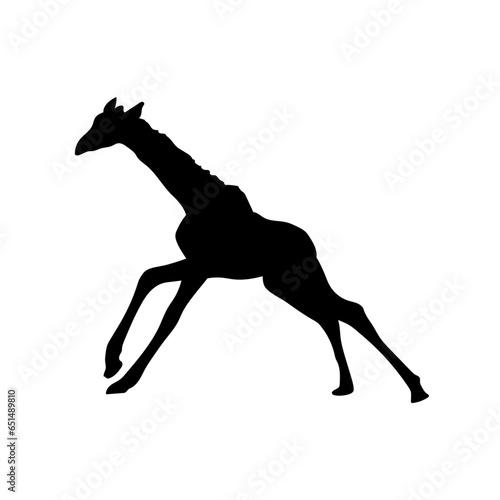 Giraffe vector png