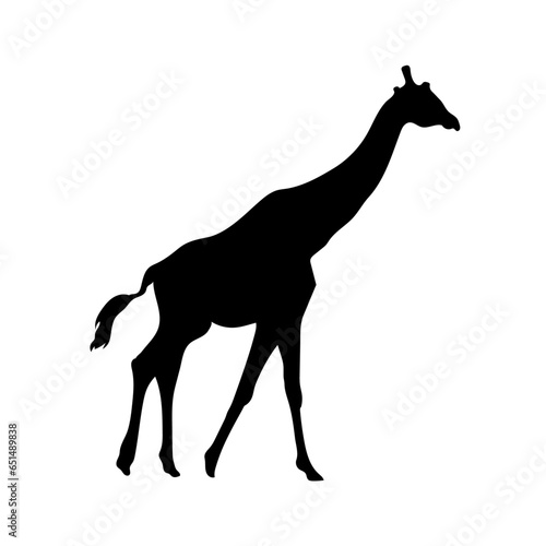 Giraffe vector png