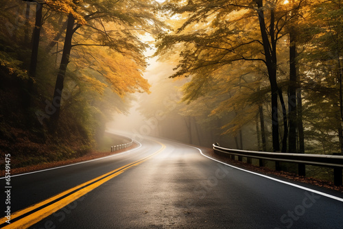 view landscape on the roadway with autumnal maple forest and the mist, colorful autumnal on morning light.