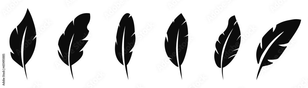 Feather Icon. Feather silhouettes set.