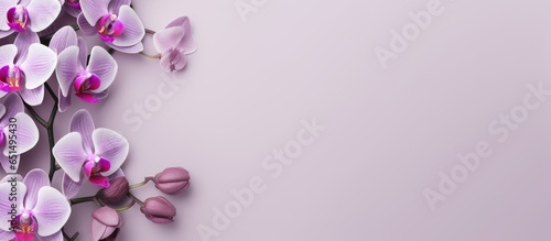 Purple orchid against isolated pastel background Copy space wall