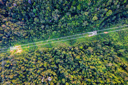 view powerline from top in the middle of tropical jungle