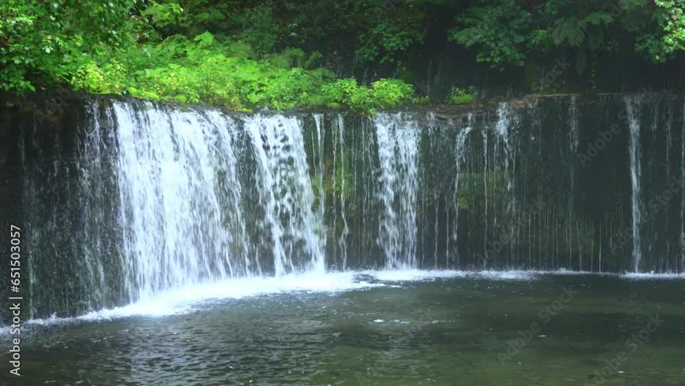 waterfall in the forest waterfall in the forest