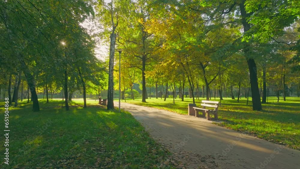 Beautiful sunlight park forest nature green summer autumn Beautiful sunlight park forest nature green summer autumn