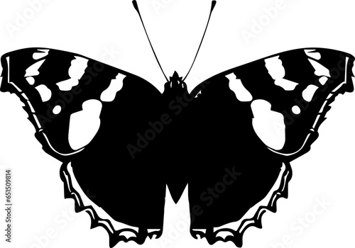 Admiral Butterfly icon 1