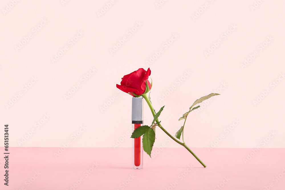 Composition with stylish lipstick and beautiful red rose flower on pink background Composition with stylish lipstick and beautiful red rose flower on pink background