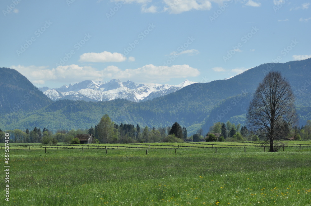 Luscious green meadow with snow-capped mountains in the background
