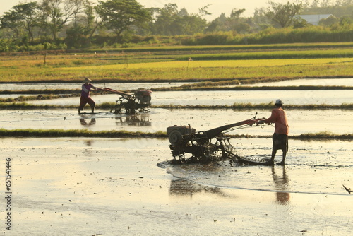 Two farmers using a two-wheel tractor to plow a field together photo