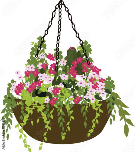 flowers in a basket, vector hanging basket 