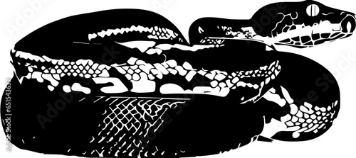 Emerald Tree Boa icon 3