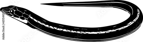 Eastern Glass Lizard icon 2