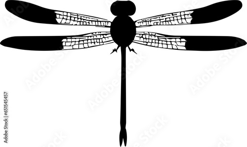 Dragonfly icon 3