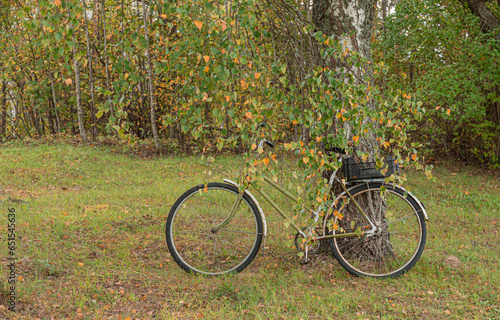 Old and scratched bicycle with black square box on the rear trunk next to birch tree with green and yellow leaves in sunny autumn day