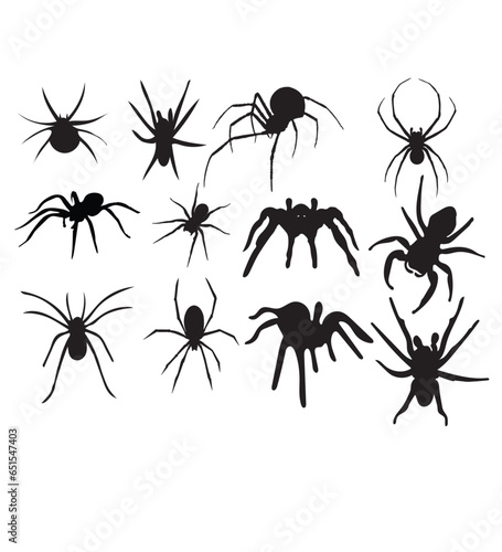 Find Download the most popular Shock Absorber Vectors, Graphic Resources for spider. Logo spider Vector Art, Icon vectors. Download eps file.  © BDSujon